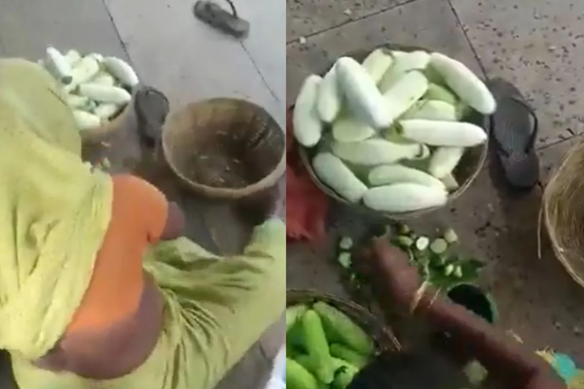 Bihar Viral Video