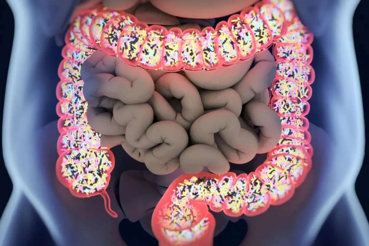 Gut Health Tips