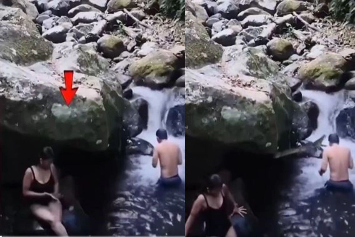 Viral Video