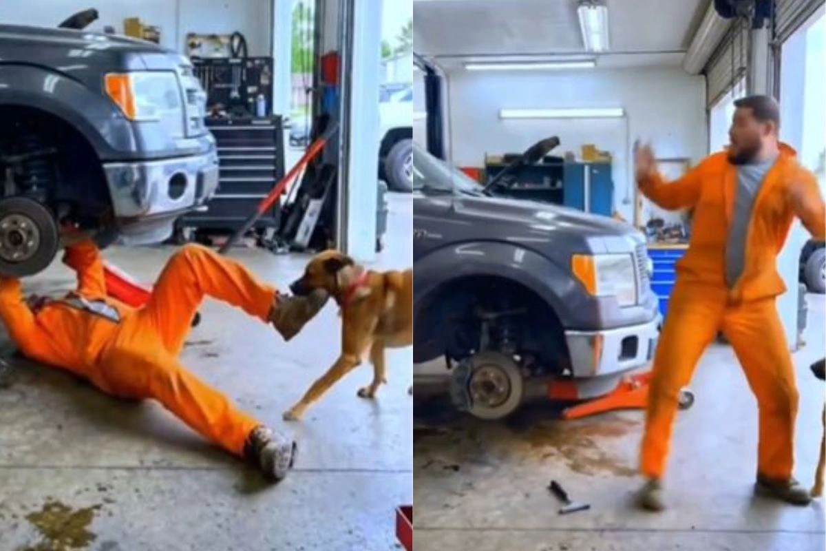 Viral Video