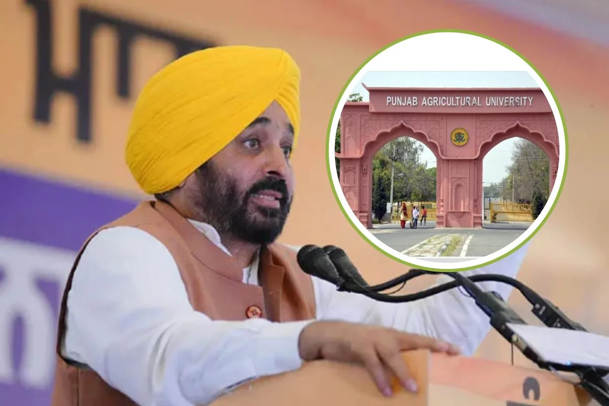 CM Bhagwant Mann