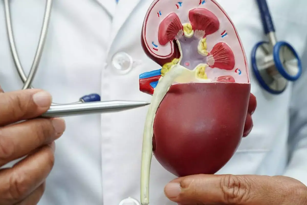 Kidney Health
