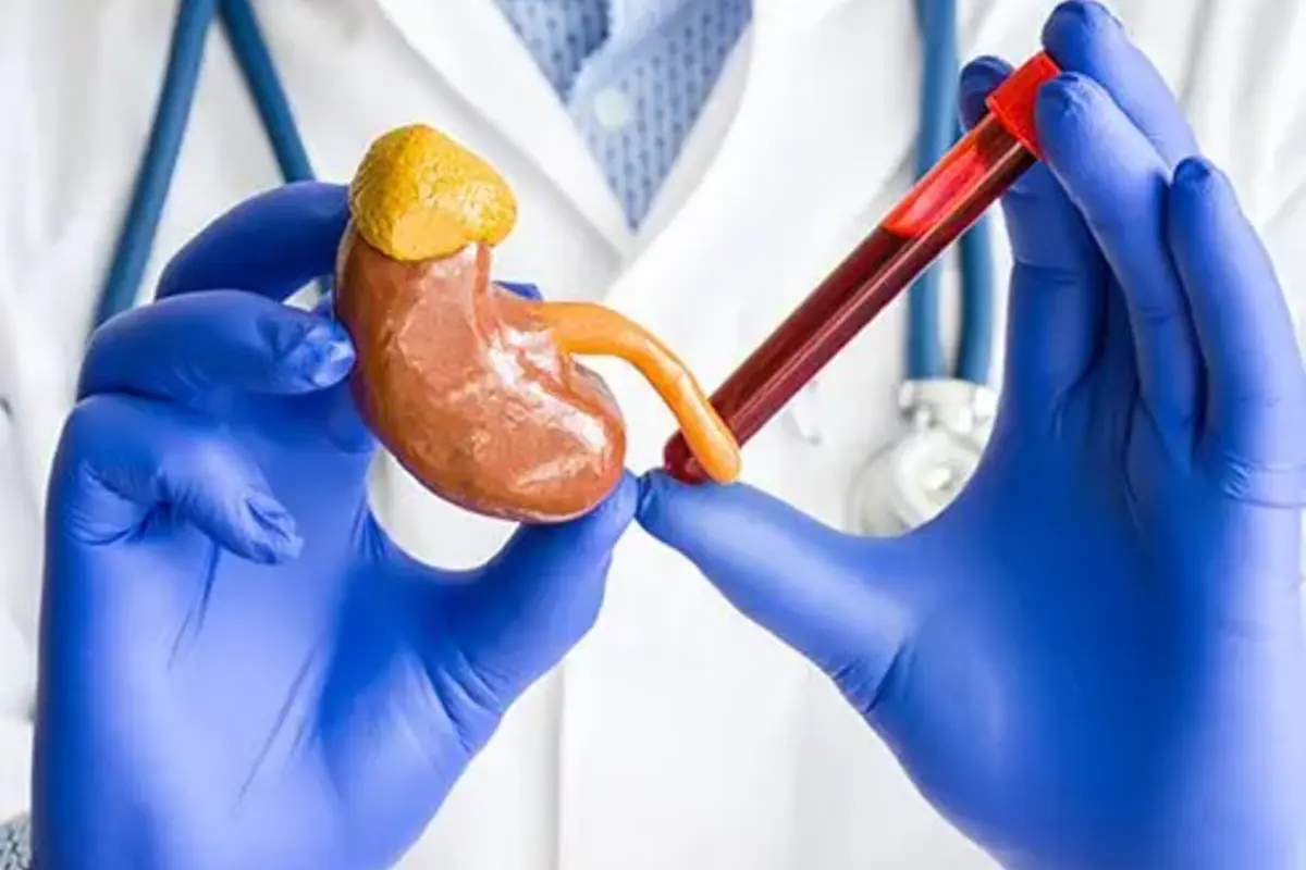 Kidney Health