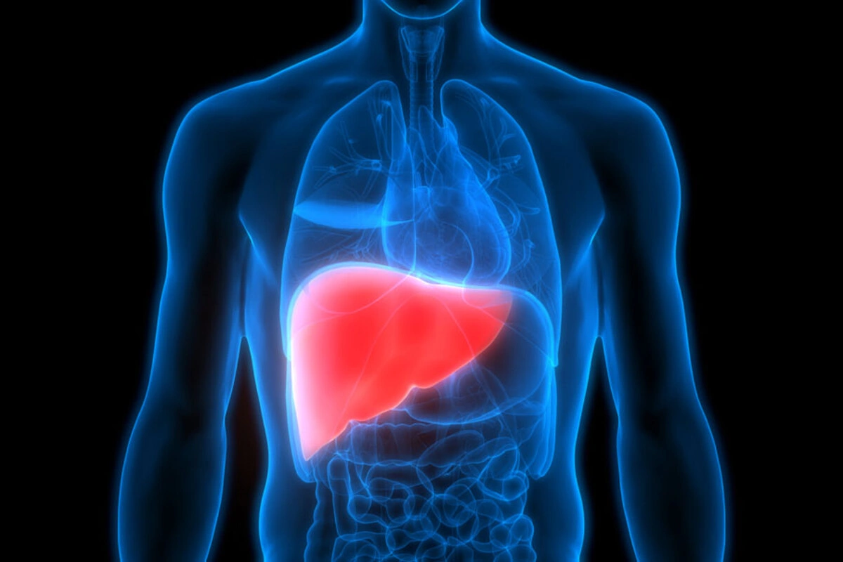 Liver Health