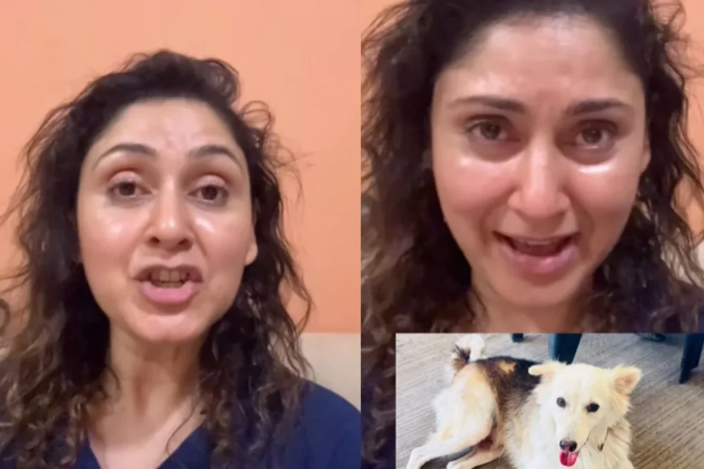 Manjari Fadnis
