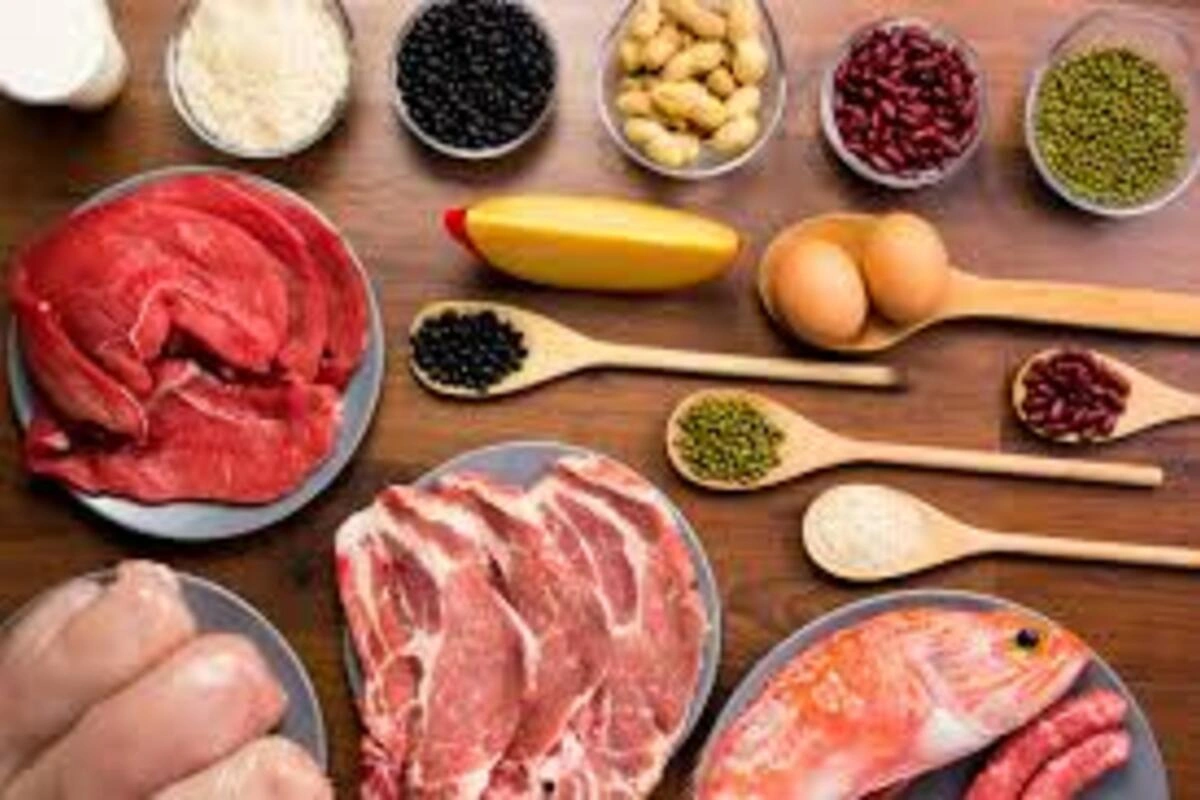Protein Diet
