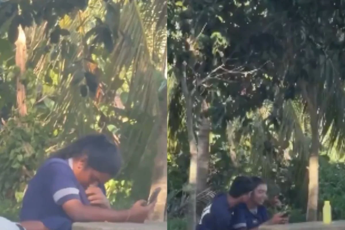 Viral Video