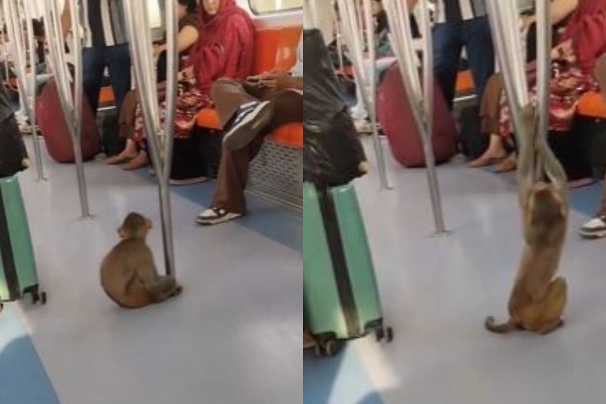 Viral Video