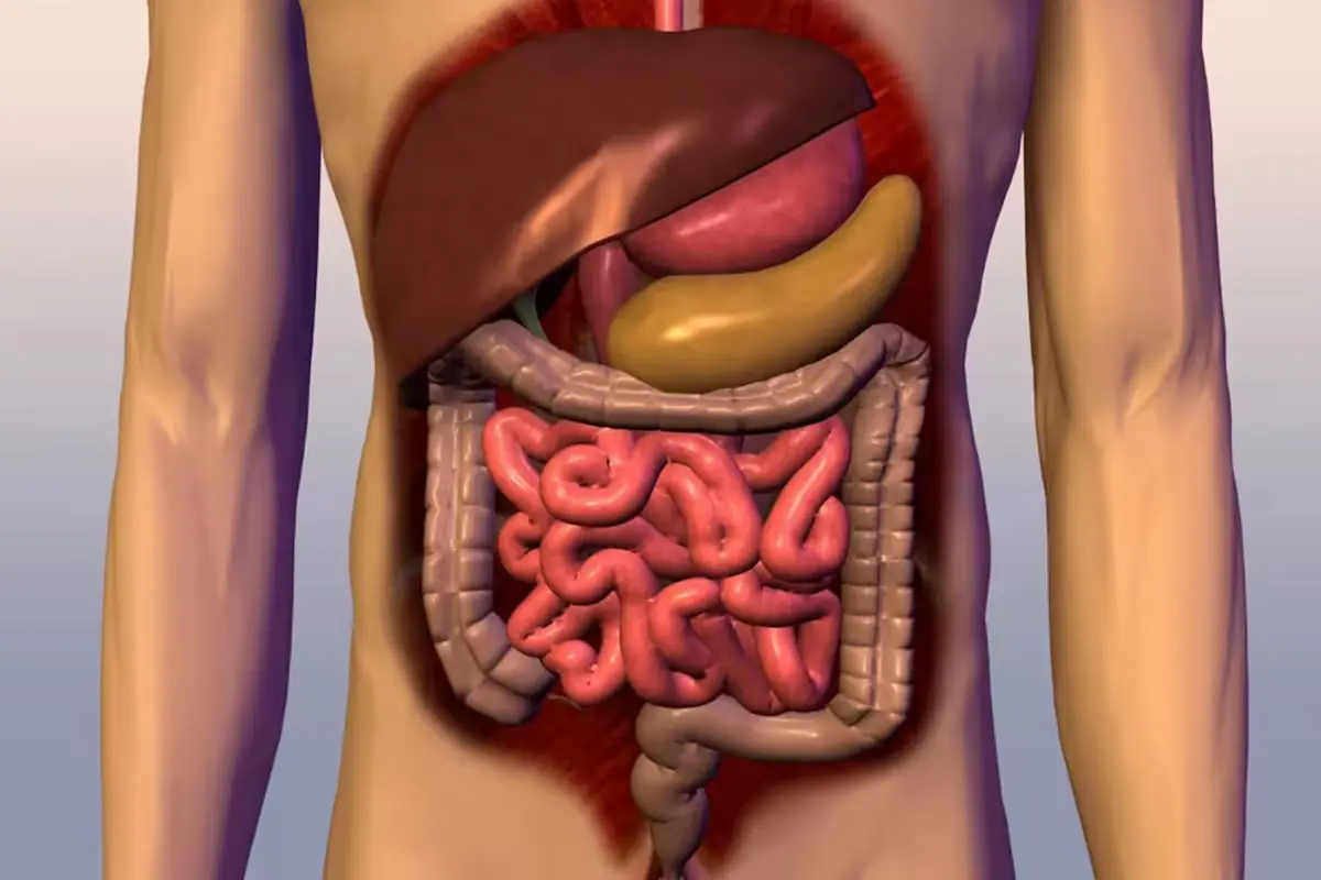 Health Tips
