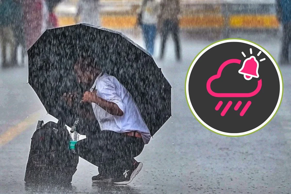 Rain Alert 15 July 2026