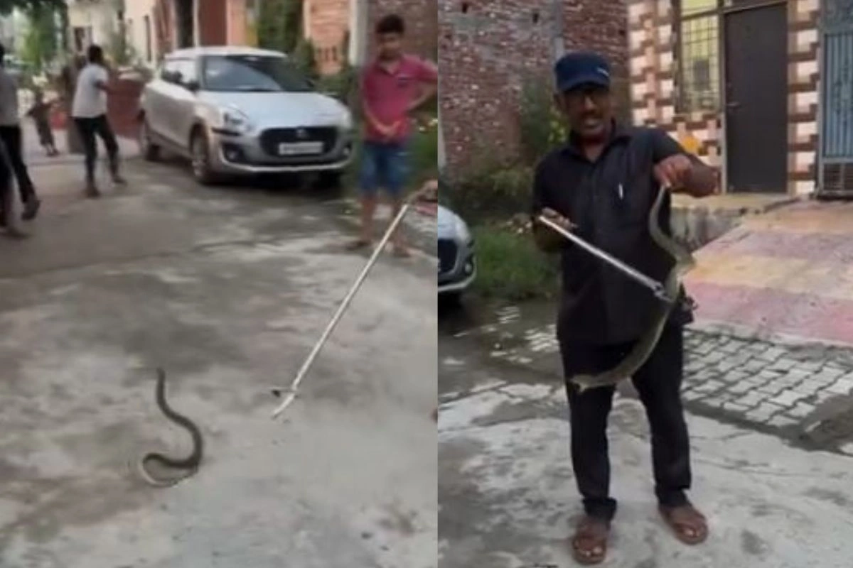 Viral Video