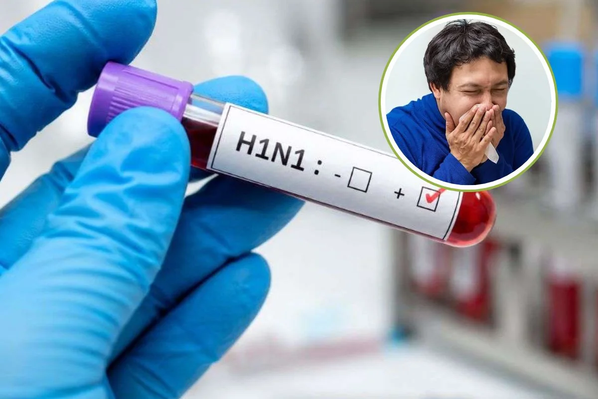 H1N1