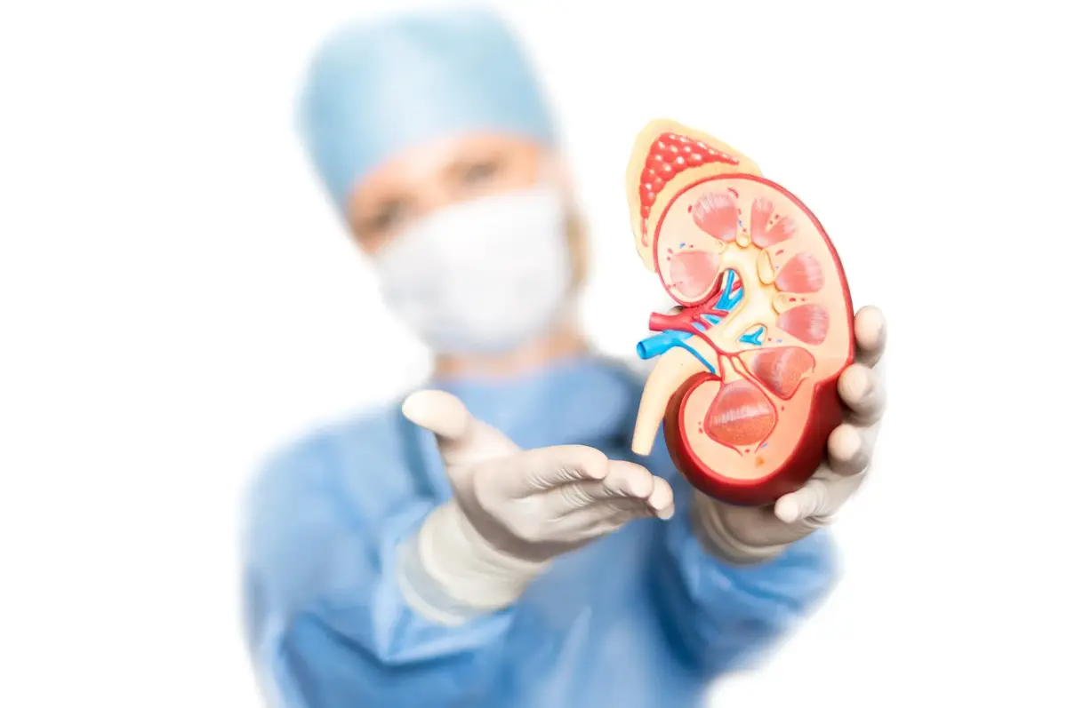 Kidney Health
