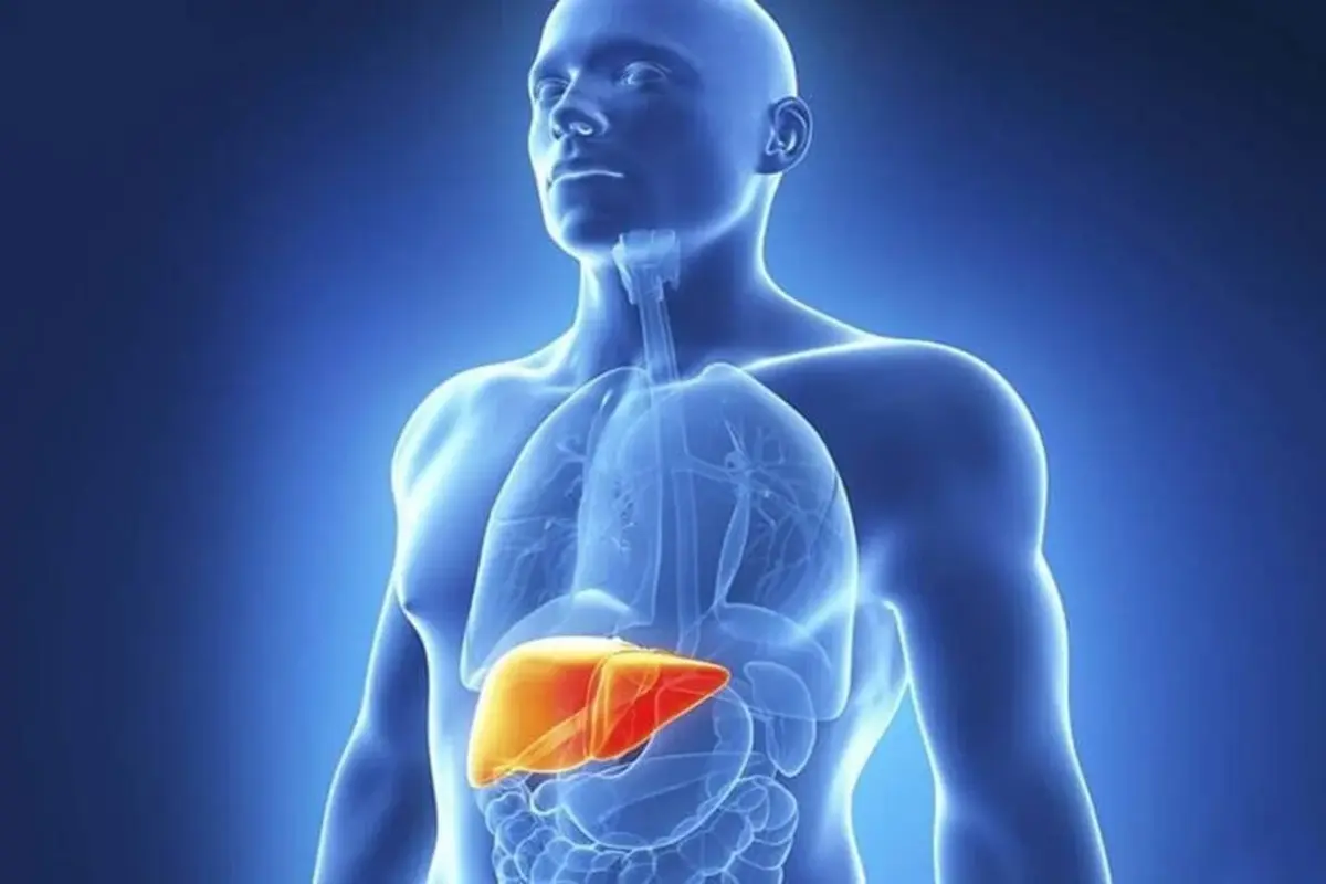 Liver Health
