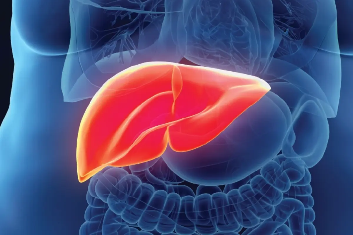 Liver Health