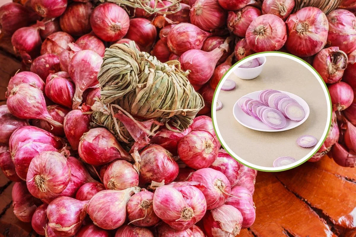 Onion Price