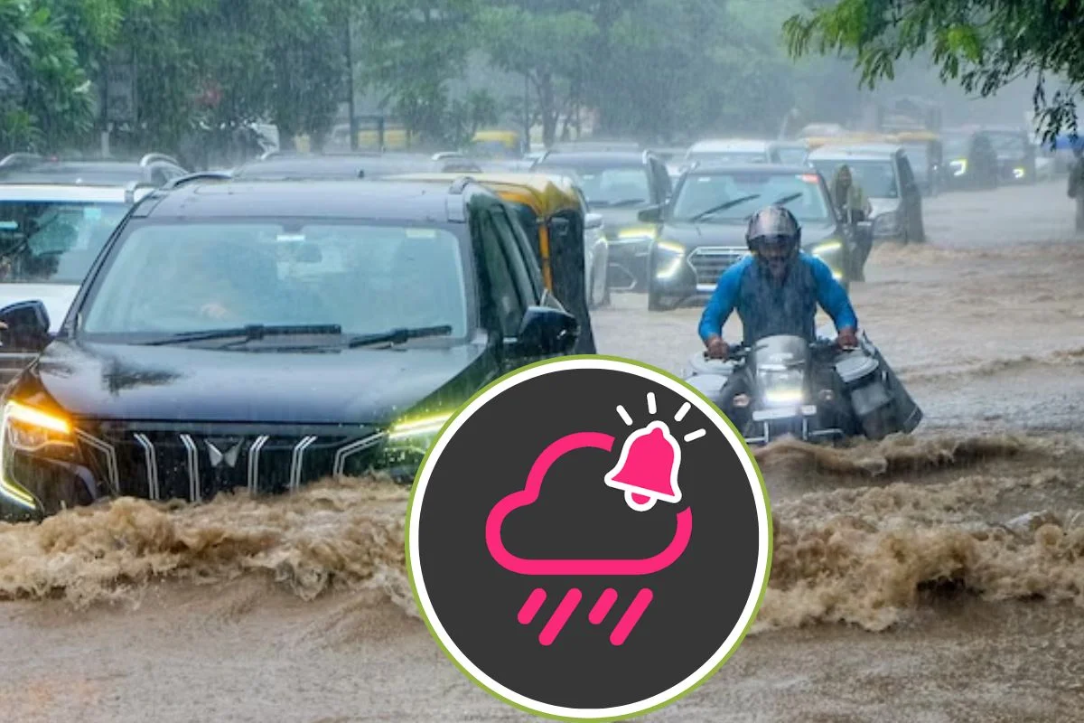 Rain Alert 11 August 2026