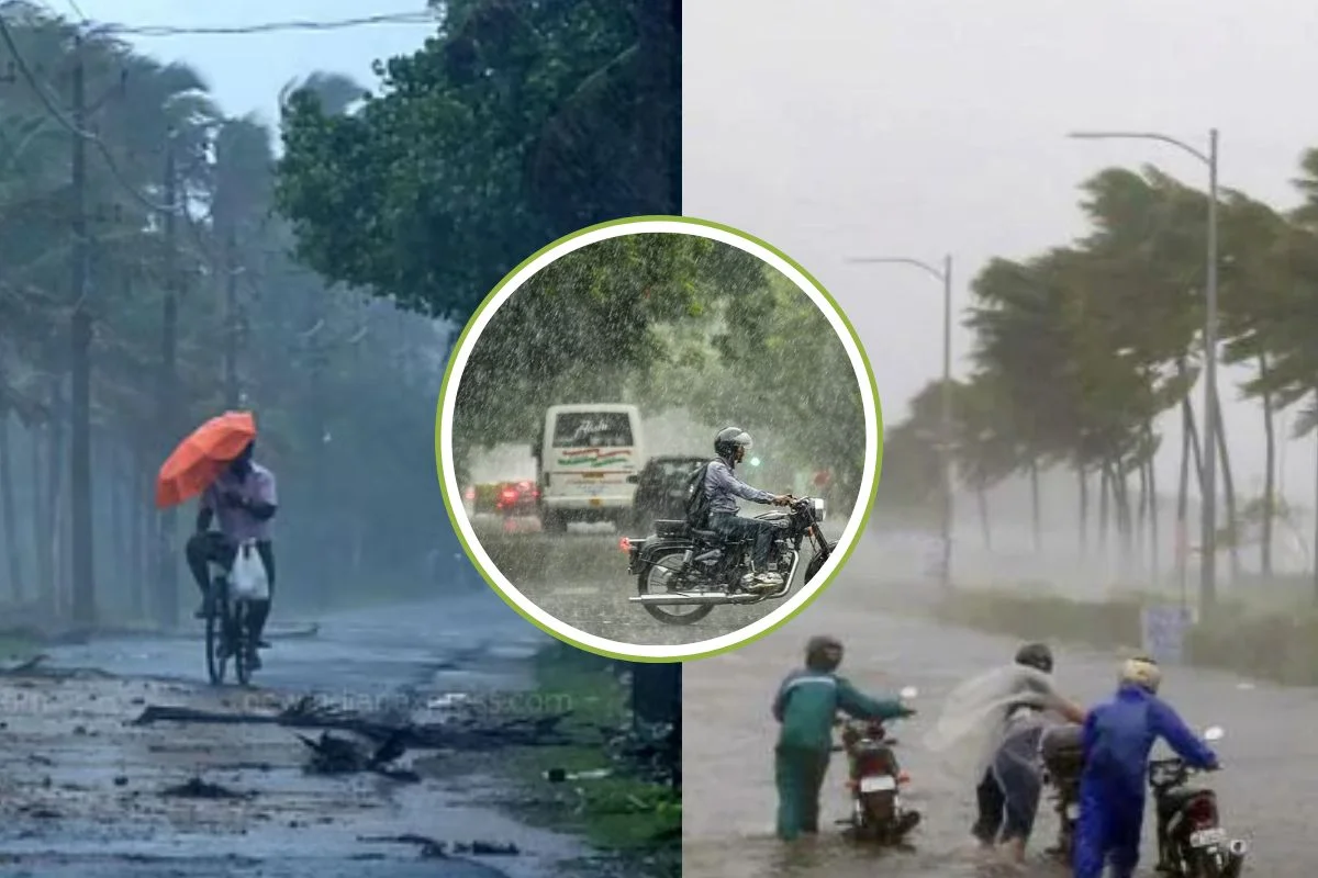 Rain Alert 23 August 2026