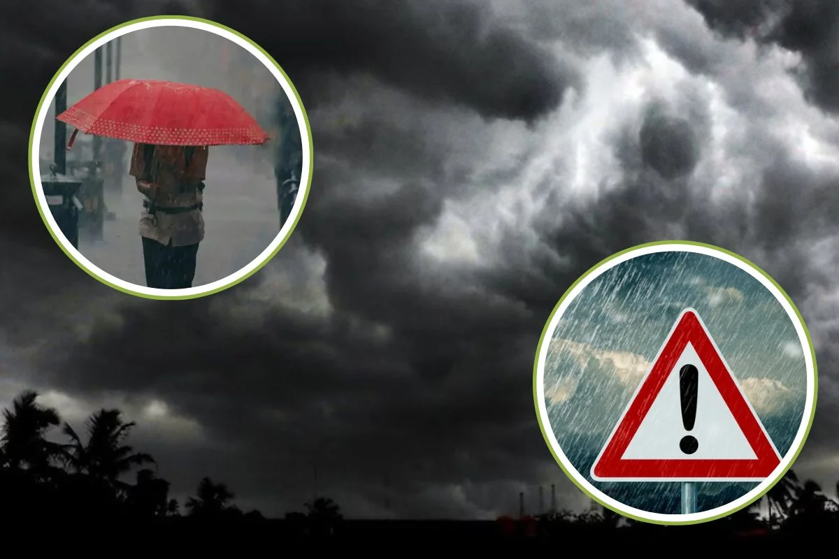 Rain Alert 8 August 2026