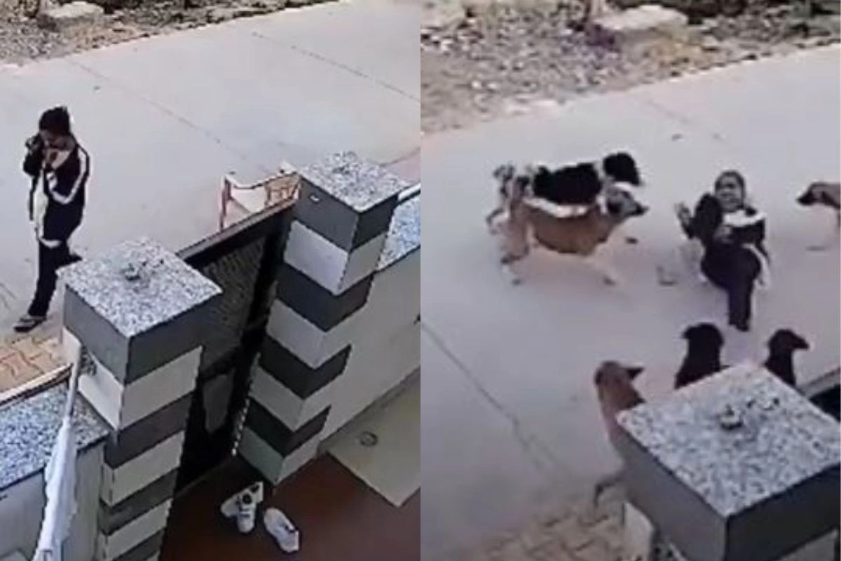 Viral Video