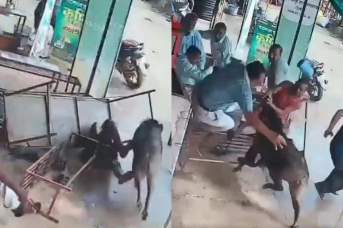 Viral Video