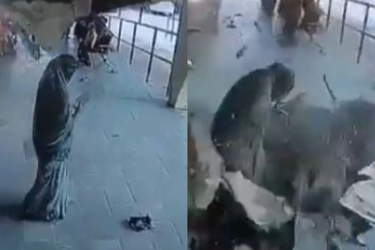 Viral Video