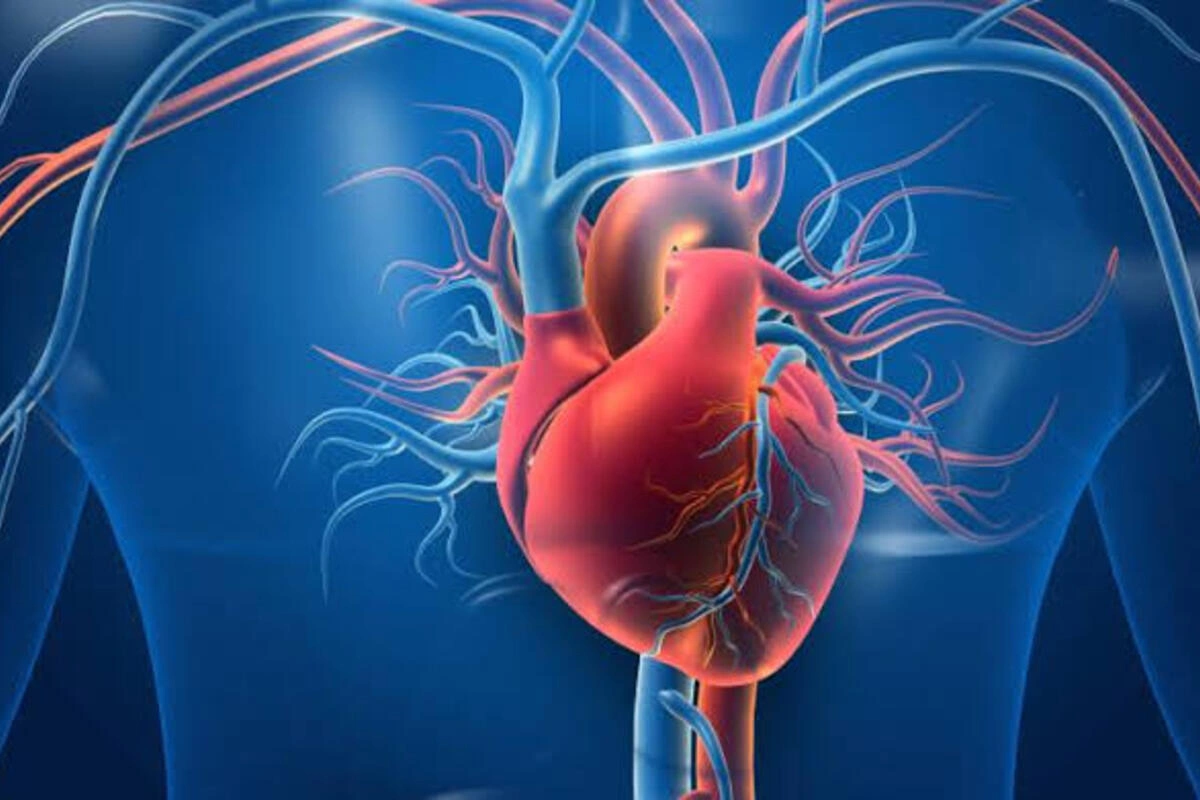 Heart Health