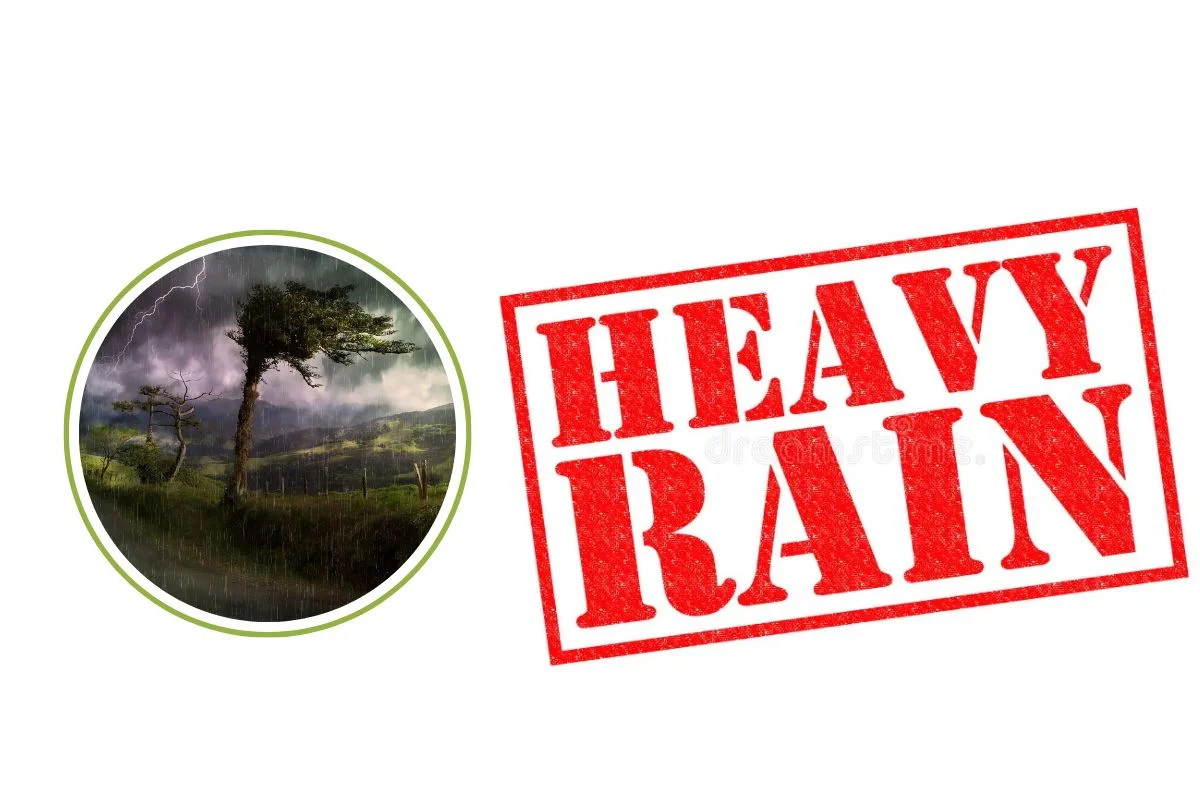 Rain Alert 28 September 2026