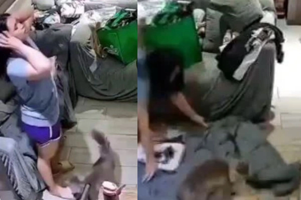 Viral Video