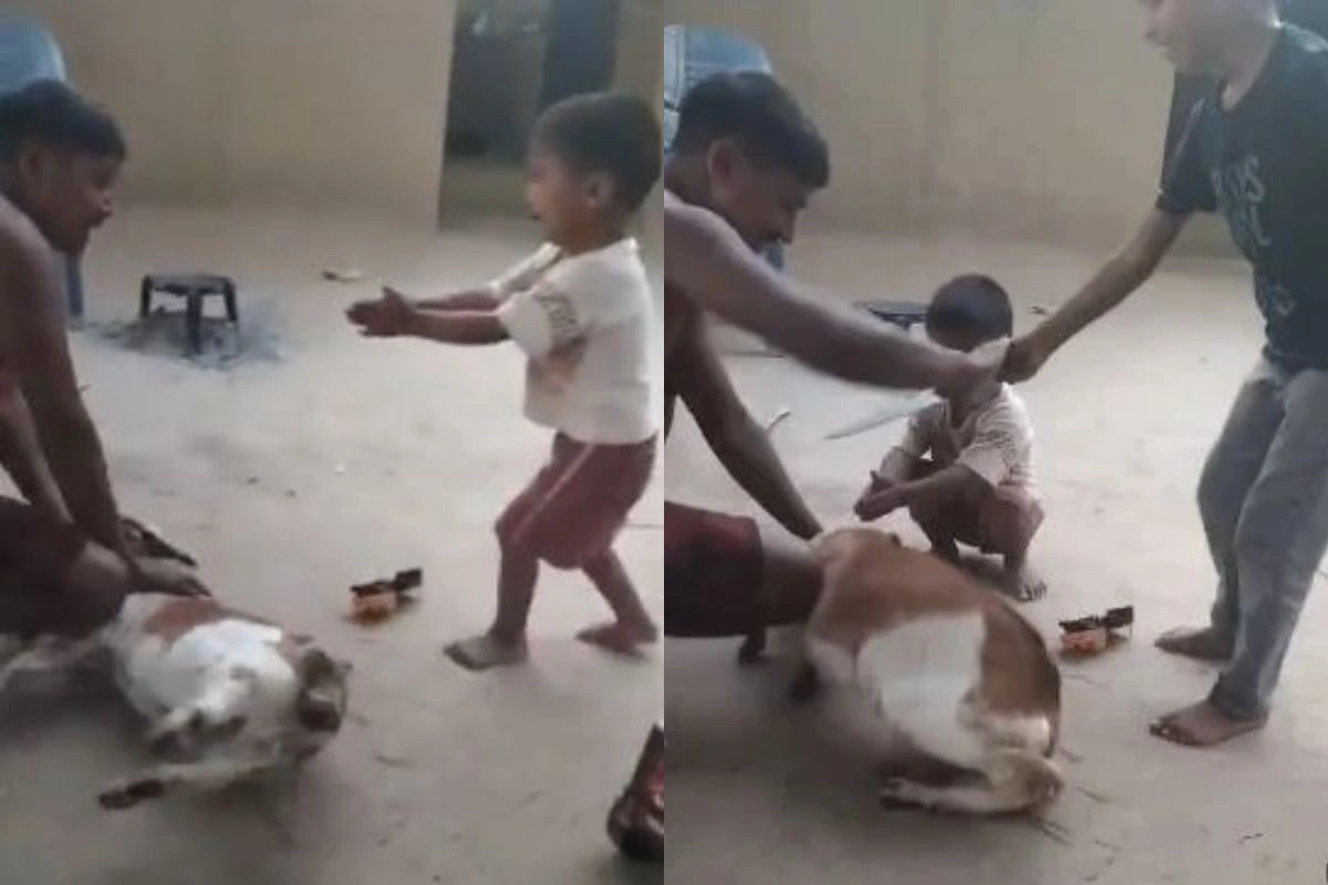 Viral Video