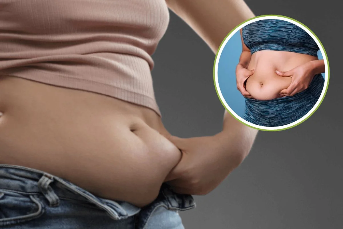 Belly Fat