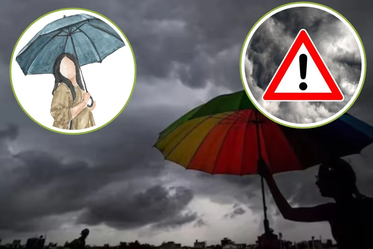 Rain Alert 11 October 2026