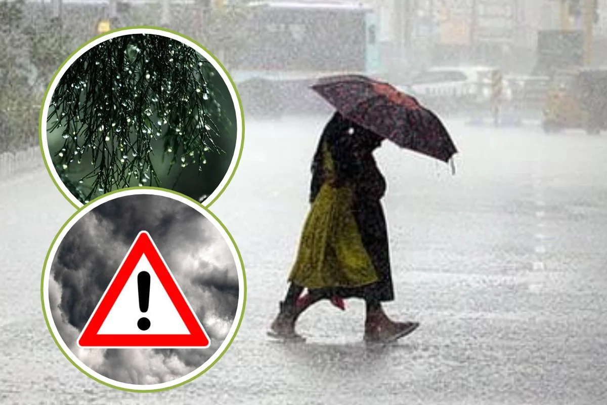 Rain Alert 6 October 2026