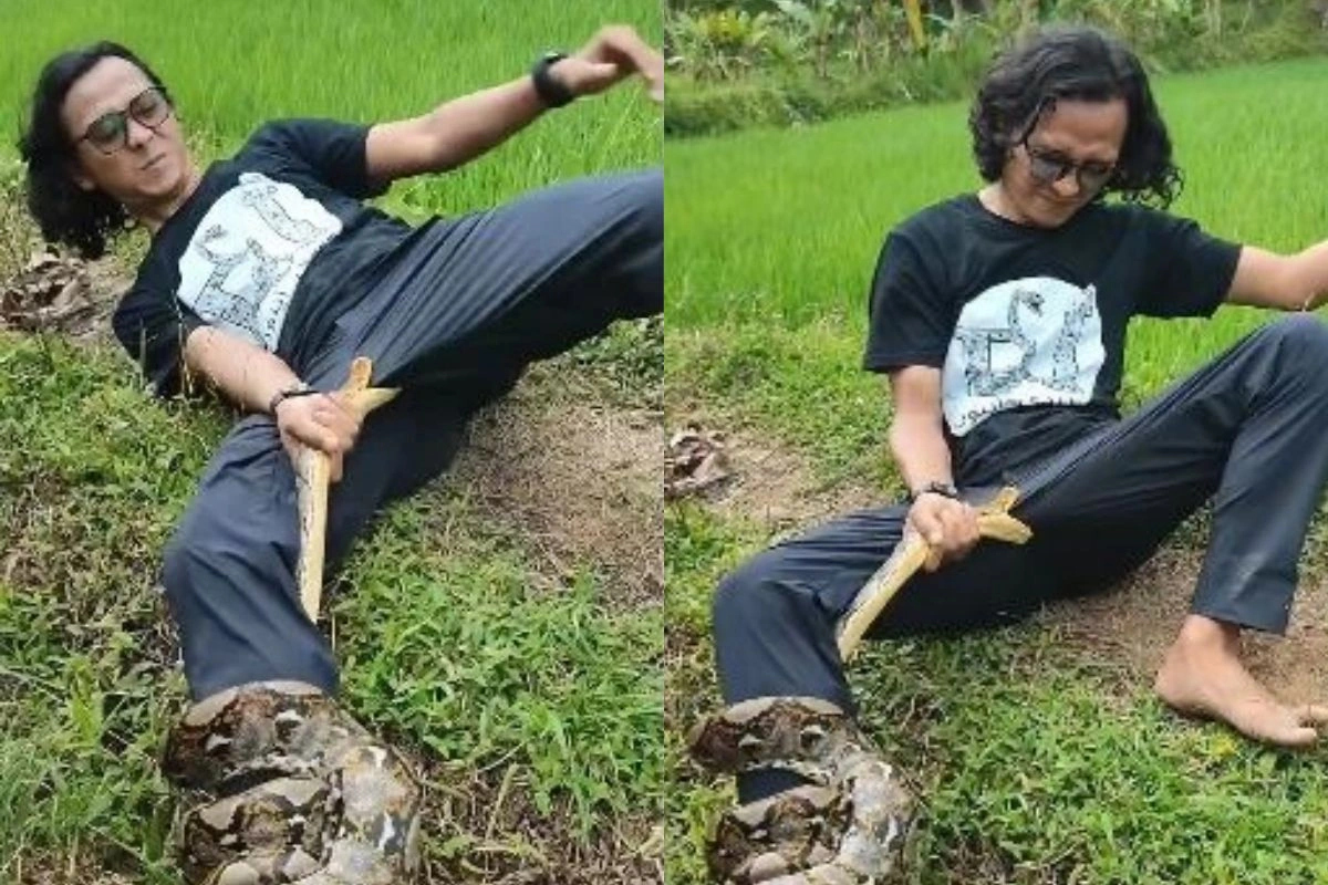 Viral Video