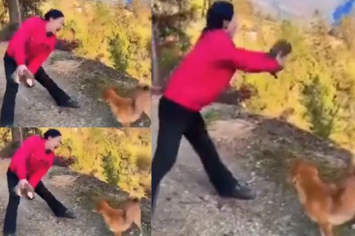 Viral Video