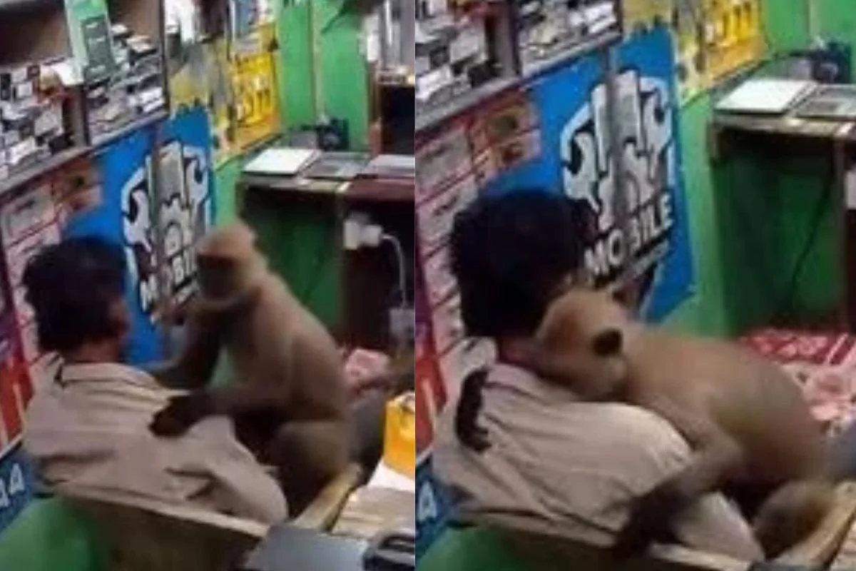 Viral Video